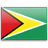Guyana Flag Symbol